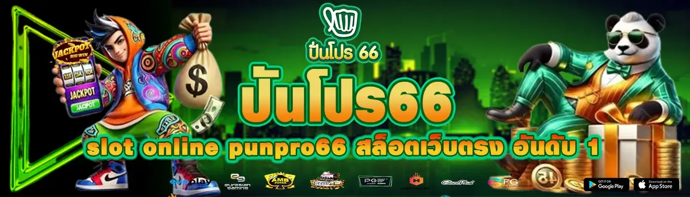 punpro66